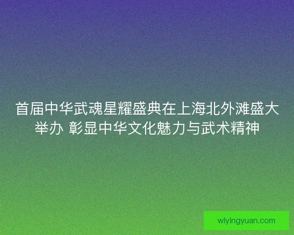 首届中华武魂星耀盛典在上海北外滩盛大举办 彰显中华文化魅力与武术精神