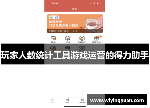玩家人数统计工具游戏运营的得力助手