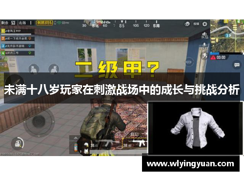 未满十八岁玩家在刺激战场中的成长与挑战分析